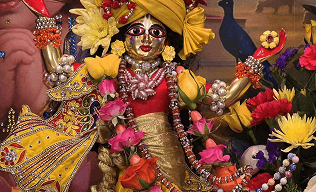 Festival gallery image 8